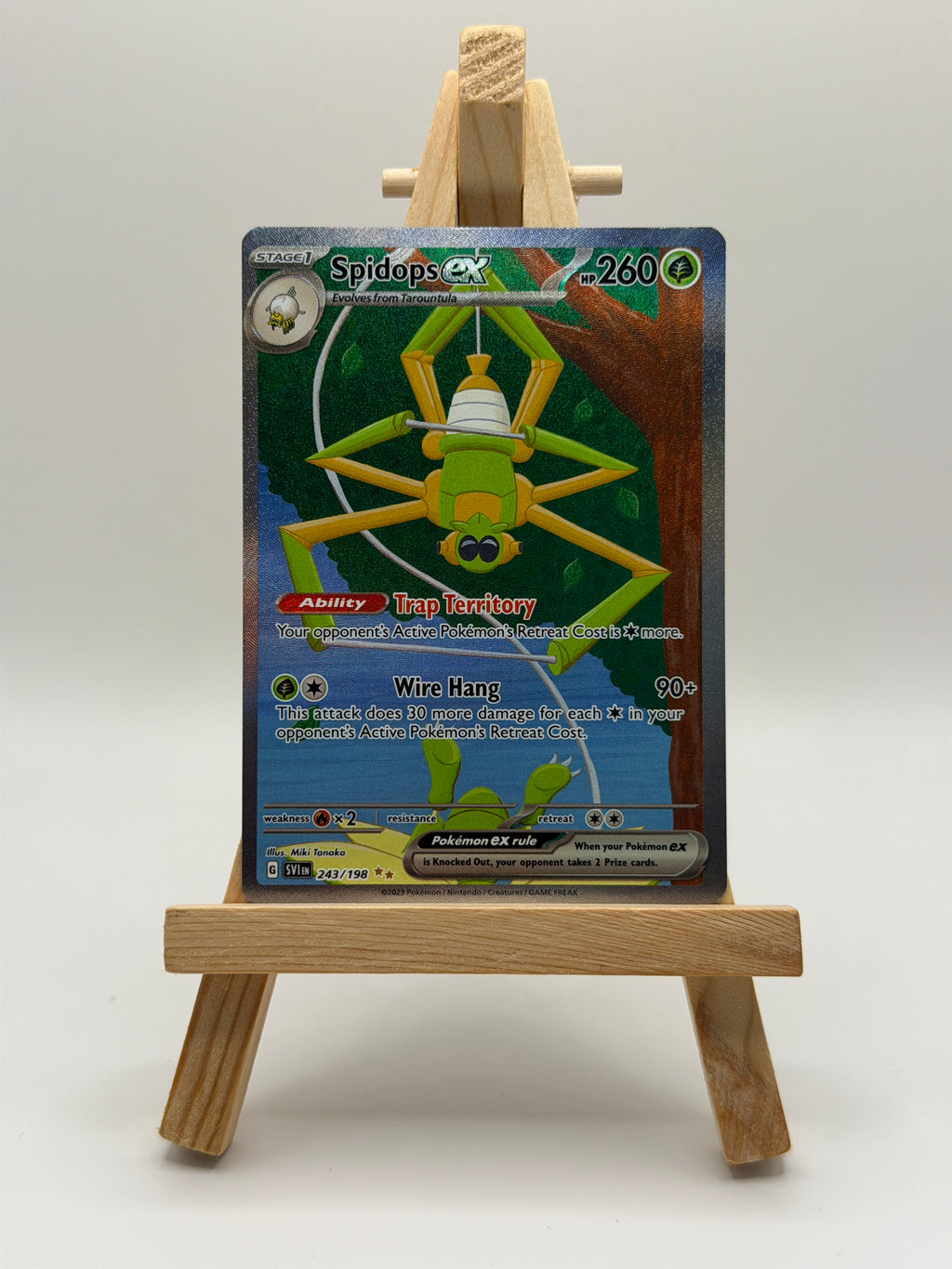 Spidops ex (SVI 243)